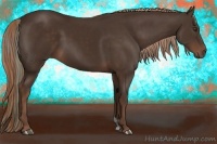 Horse Color:Liver Chestnut  and Liver Chestnut 