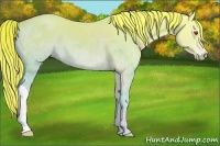 Horse Color:Chestnut Chinchilla Ice and Chestnut Chinchilla Ice