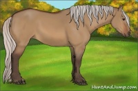 Horse Color:Silver Bay Dun 