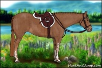Horse Color:Chestnut  and Chestnut 