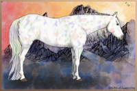 Horse Color:Gray Nacre Palomino Roan Dun Sabino Frame Appaloosa