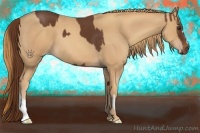 Horse Color:Chestnut  and Gold Champagne 