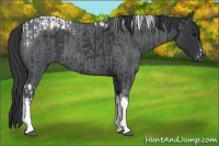 Horse Color:Black Tobiano Frame  and Blue Roan Tobiano Frame 