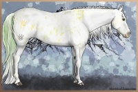 Horse Color:Palomino Ice Dun Appaloosa  and Gold Champagne Ice Dun Appaloosa 