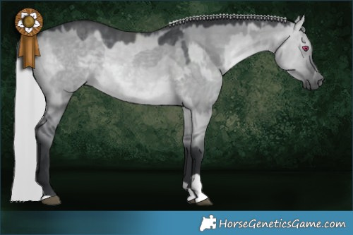 Horse Color:Silver Brown Chinchilla Dun  and Silver Grullo Chinchilla 