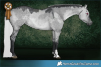 Horse Color:Silver Brown Chinchilla Dun and Silver Grullo Chinchilla