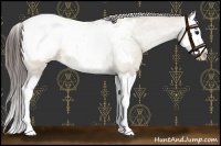 Horse Color:Brown Dun Splash Snowcap 