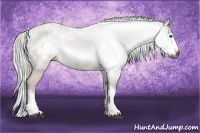 Horse Color:Gray Brown Splash Frame Rabicano