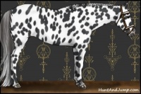 Horse Color:Black Leopard
