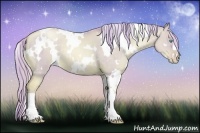Horse Color:Watercolor White Spotted Chocolate Palomino Pearl Dun 