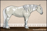 Horse Color:Watercolor White Spotted Silver Bay Dun