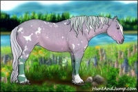Horse Color:Watercolor White Spotted Silver Brown Dun