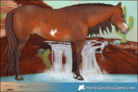 Horse Color:Chocolate Brown Splash Frame Rabicano 