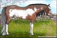 Horse Color:Brown Roan Splash Frame Rabicano