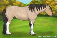 Horse Color:Buckskin Roan Tobiano