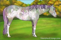 Horse Color:Nacre Watercolor Cremello Chinchilla Tobiano and Nacre Watercolor Brown Chinchilla Splash Frame Rabicano