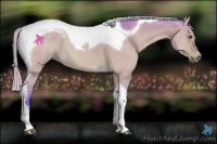 Horse Color:Watercolor Silver Bay Dun Tobiano 