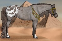 Horse Color:Liver Red Roan Sabino Blanket