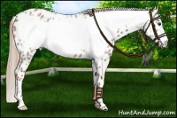 Horse Color:Red Roan Frame Leopard 