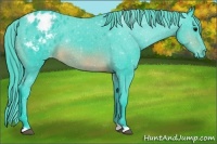 Horse Color:Watercolor Brown Appaloosa 