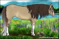 Horse Color:Liver Red Dun Splash 