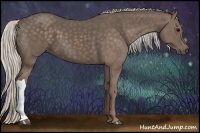 Horse Color:Silver Black 
