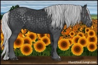 Horse Color:Silver Black Chinchilla 