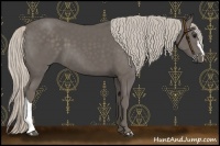 Horse Color:Silver Black 