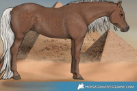 Horse Color:Silver Black 