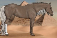 Horse Color:Silver Black 