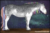 Horse Color:Painted Silver Black Chinchilla Splash 