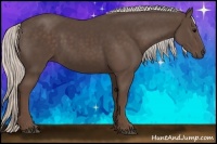 Horse Color:Silver Black