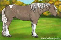 Horse Color:Silver Smoky Black Tobiano