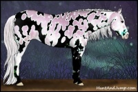 Horse Color:Watercolor Silver Buckskin Onyx Sabino Appaloosa