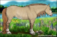 Horse Color:Liver Red Dun Sabino Rabicano Brindle