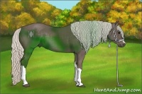 Horse Color:Silver Black 