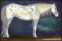 Horse Color:Watercolor Chocolate Palomino Onyx Appaloosa 