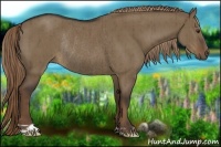 Horse Color:Liver Red Dun Rabicano Brindle