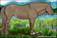 Horse Color:Liver Red Dun Sabino Rabicano Brindle