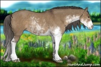 Horse Color:Liver Red Dun Sabino Rabicano