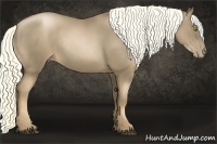 Horse Color:Liver Chestnut Pearl Rabicano
