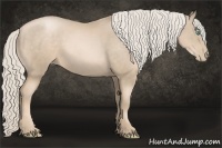 Horse Color:Chocolate Palomino Pearl Rabicano 