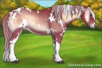 Horse Color:Watercolor White Spotted Chocolate Palomino Onyx