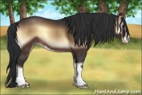 Horse Color:Bay Onyx Sabino