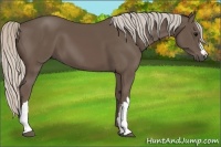 Horse Color:Silver Black 
