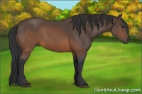 Horse Color:Brown 