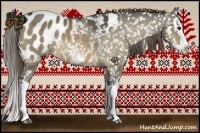 Horse Color:Buckskin Dun Splash Appaloosa 