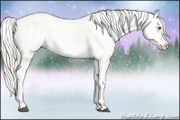 Horse Color:Palomino Dun Snowflake Varnish 
