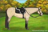 Horse Color:Buckskin Roan Dun Splash 