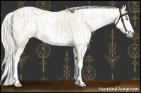 Horse Color:Cremello Sabino  and Cremello Sabino Rabicano 
